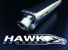 Kawasaki Ninja 300 2013 Onwards  Hawk Stainless Steel Tri-Oval Street Legal Exhaust