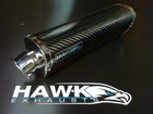 Kawasaki Ninja 300 2013 Onwards  Hawk Carbon Fibre Tri-Oval Street Legal Exhaust