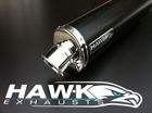 FZ1 N 06-> Hawk Powder Black Oval Street Legal Exhaust